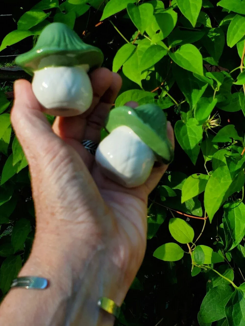 SALT and PEPPER SHAKERS Mushrooms Minis New in Box 2.25